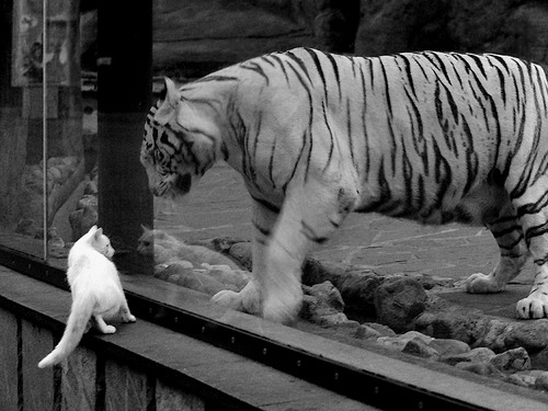 开云体育入口-东决关键战焦点战，火箭险胜尼克斯，惊心动魄的胜利