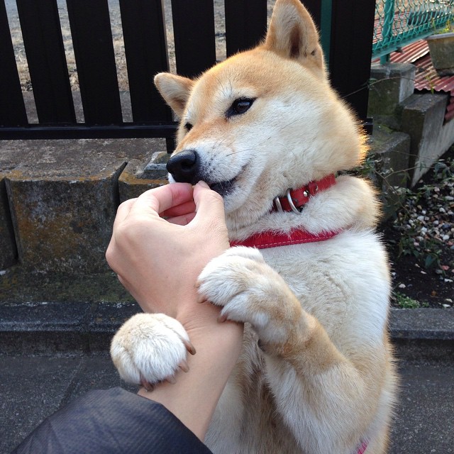 开云体育入口-孙兴慜跨界领衔，一场虚构对决如何折射足球世界的真实渴望？