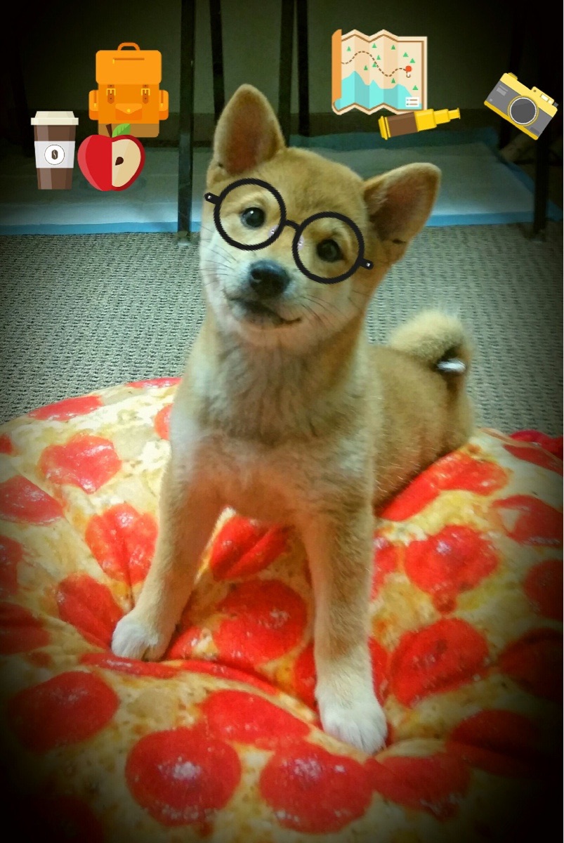 冰与火的对抗，拉亚高光之战与北境足球的凛冬宣言