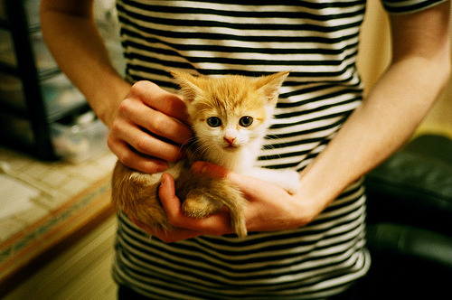 绿茵法则,当奥斯梅恩进入无解领域