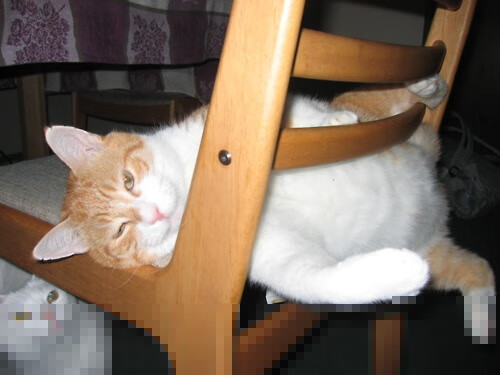 伦纳德关键战再显神威，深圳队力克魔术创佳绩