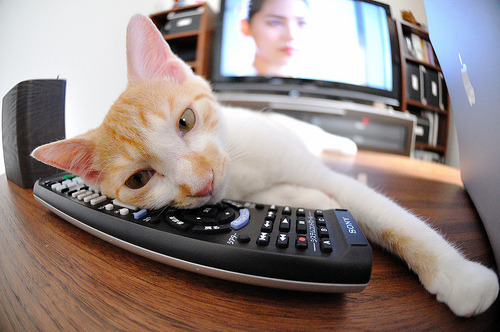 开云体育app-巴萨鏖战委内瑞拉，罗德里关键节点连番得分定乾坤