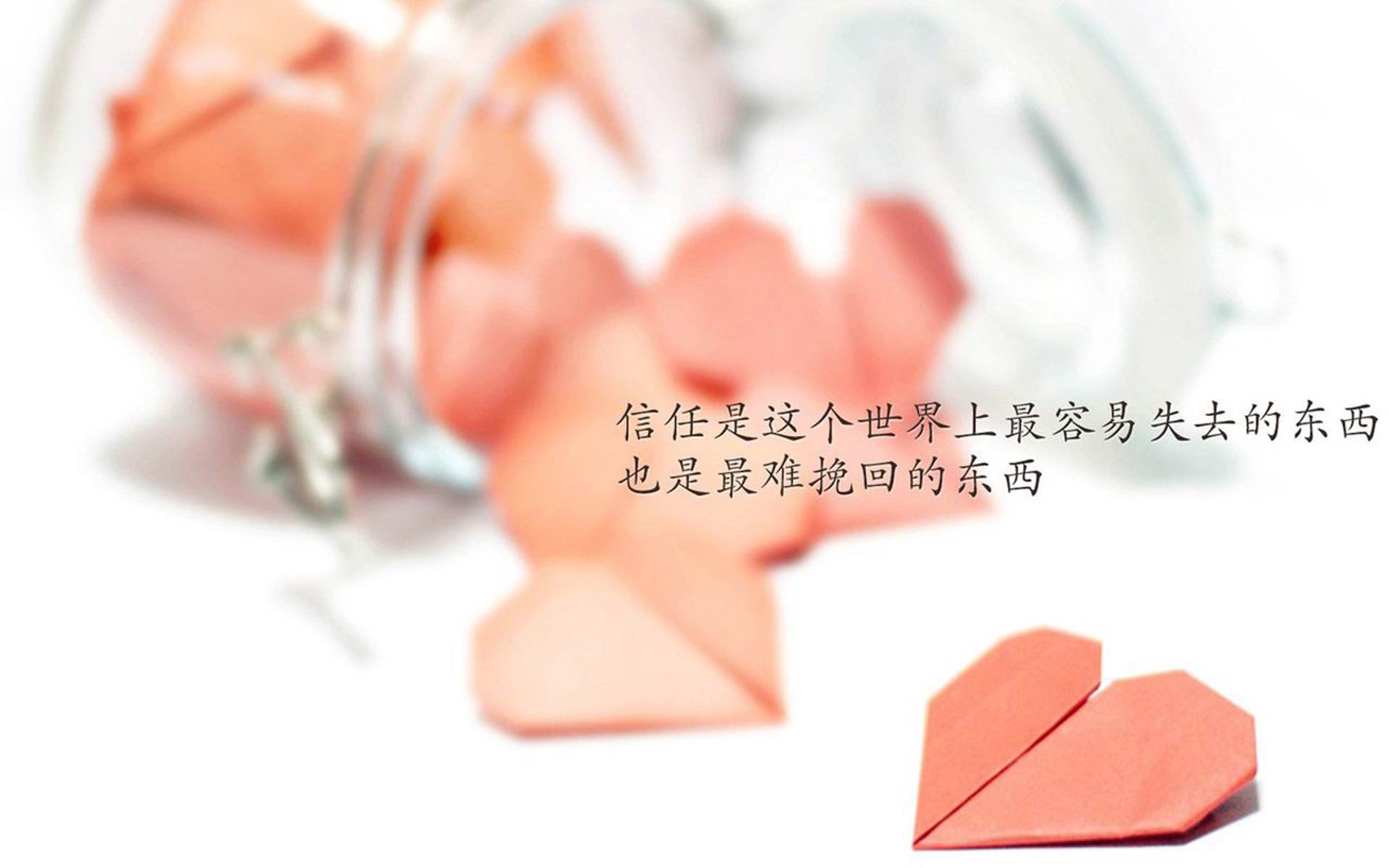 绝地反击,2026世界杯C组,日本逆转匈牙利,罗德里戈闪耀全场