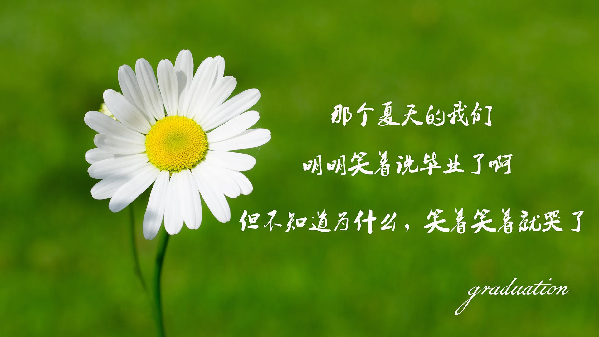巴尔干烽烟再起,凯恩导演强强对话,罗马尼亚憾负克罗地亚