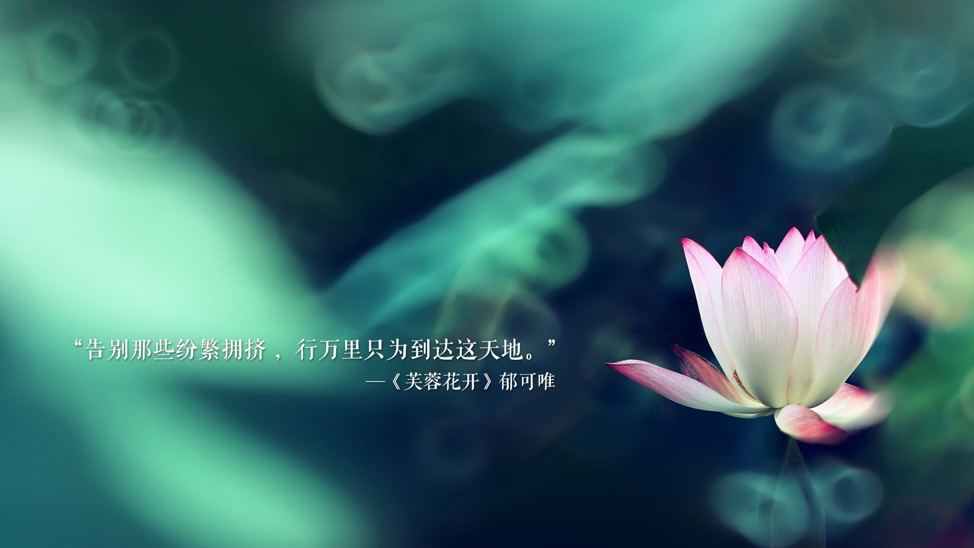 世界杯争冠关键战，挪威钢铁洪流碾压美国，三笘薰东瀛风采带队取胜